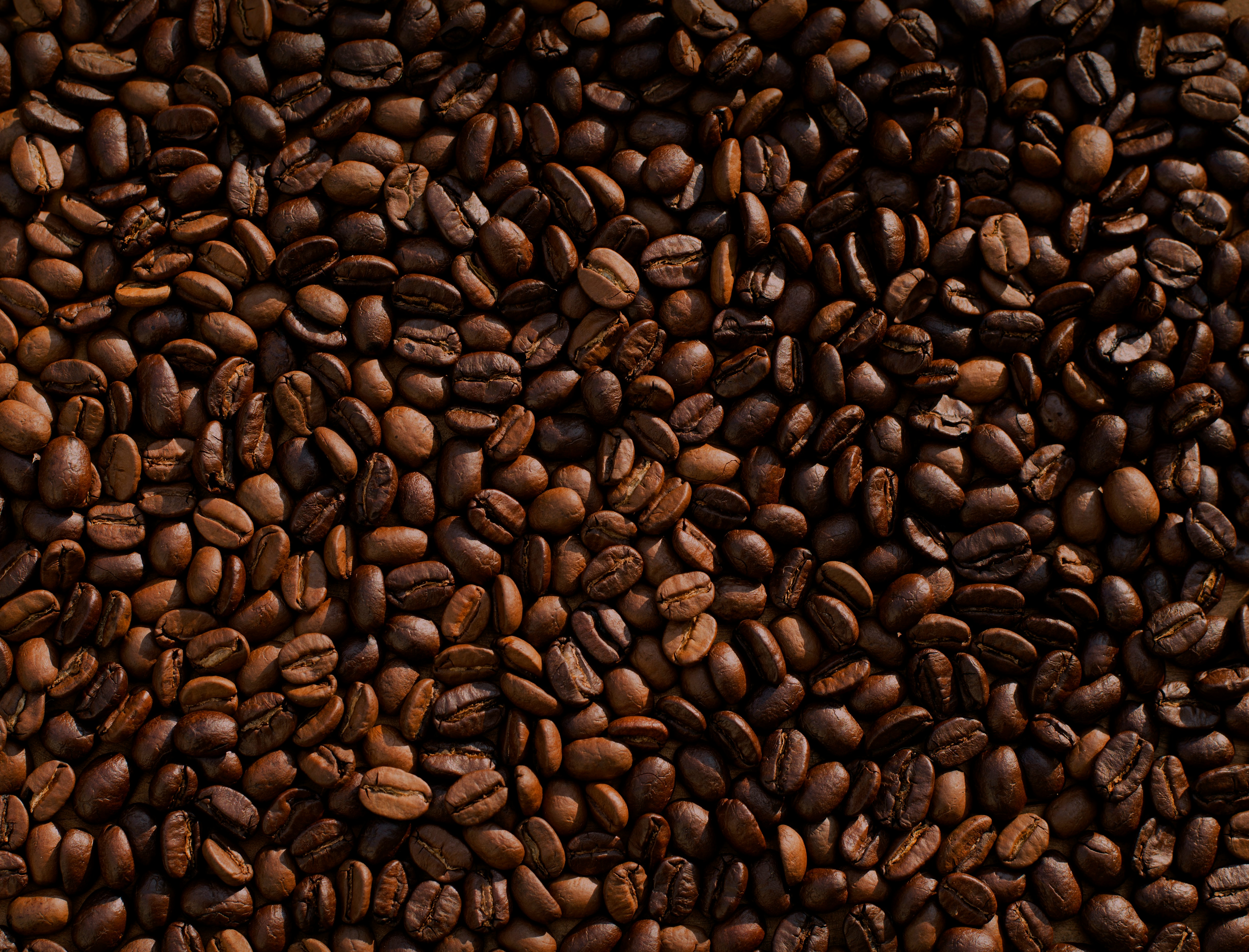 Robusta coffee beans Uganda